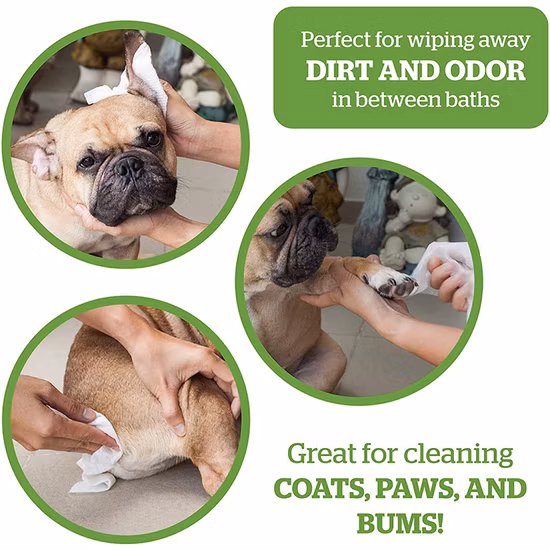 Biokleen OEM Custom Pet Teeth Wipe Dog Pet Grooming Bamboo Wipe Bamboo Cleaning Pet Paw Wipes